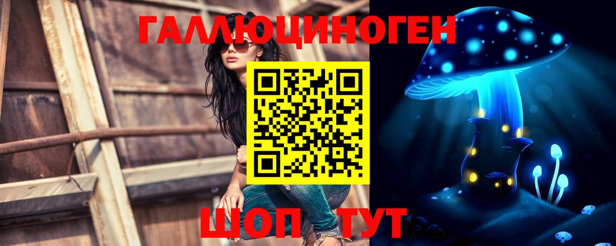 Псилоцибиновые грибы Psilocybe Туапсе